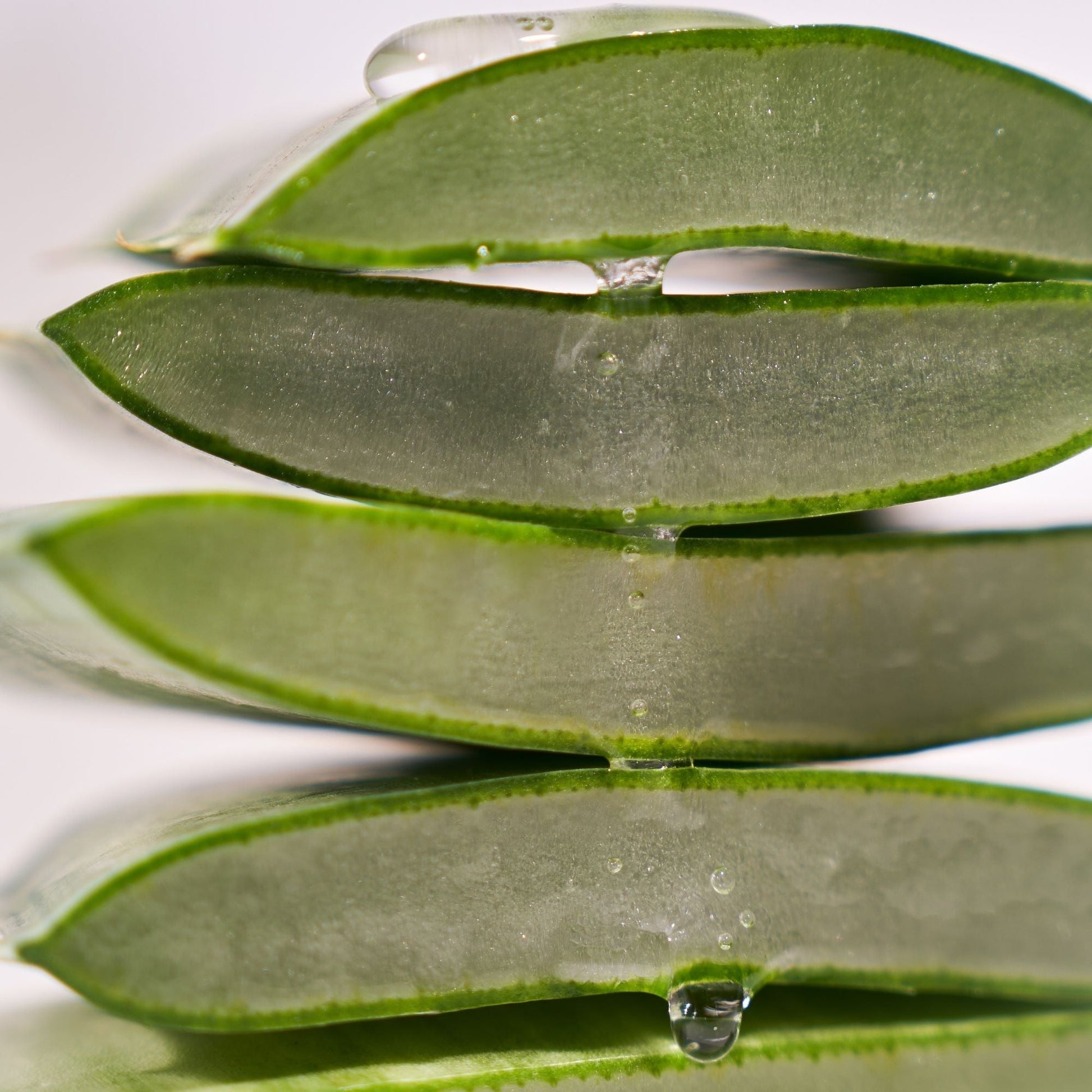 haruharu wonder Black Rice Hyaluronic Essence 50ml  -La Cosmetique