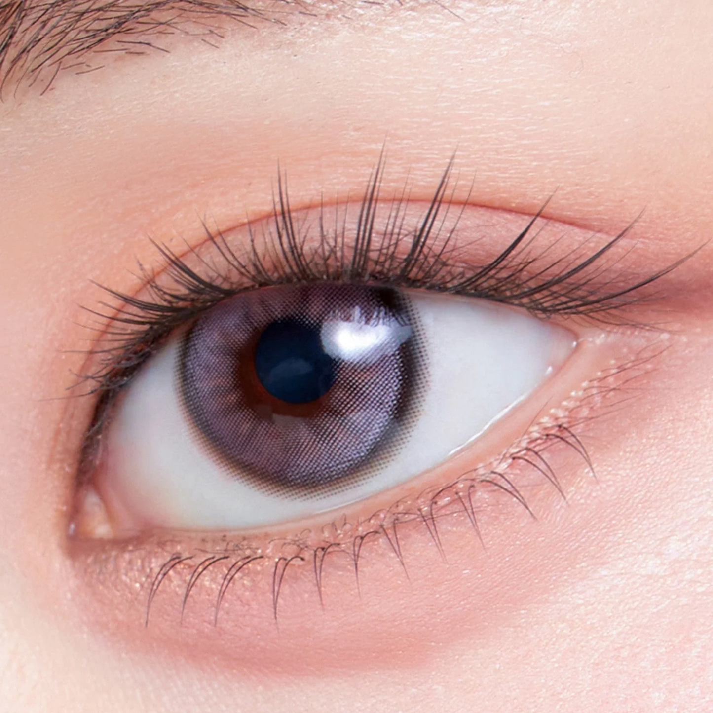 Toktokhara No Glue Half Eyelash [24pcs]