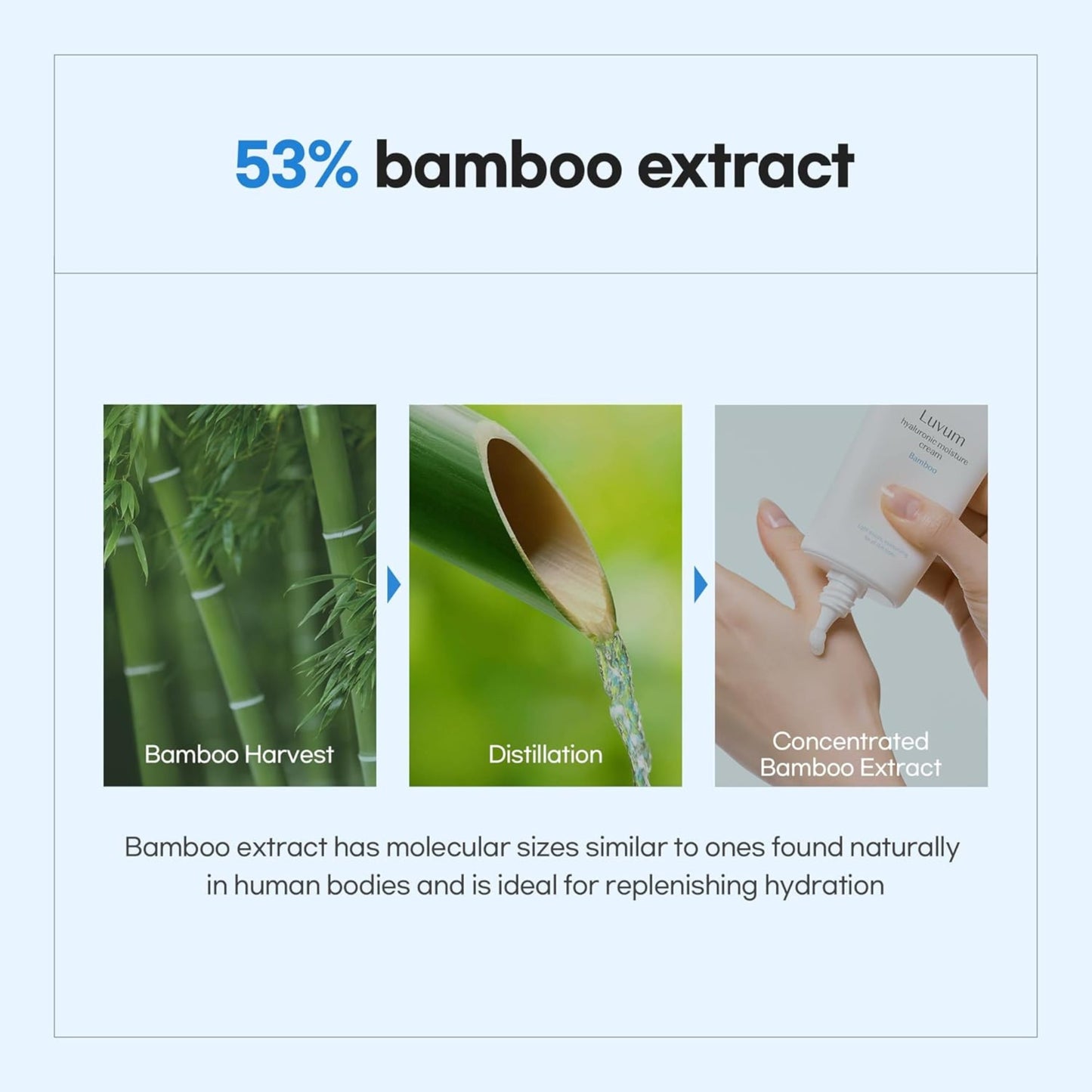 Bamboo Hyaluronic Moisture Cream 70Ml