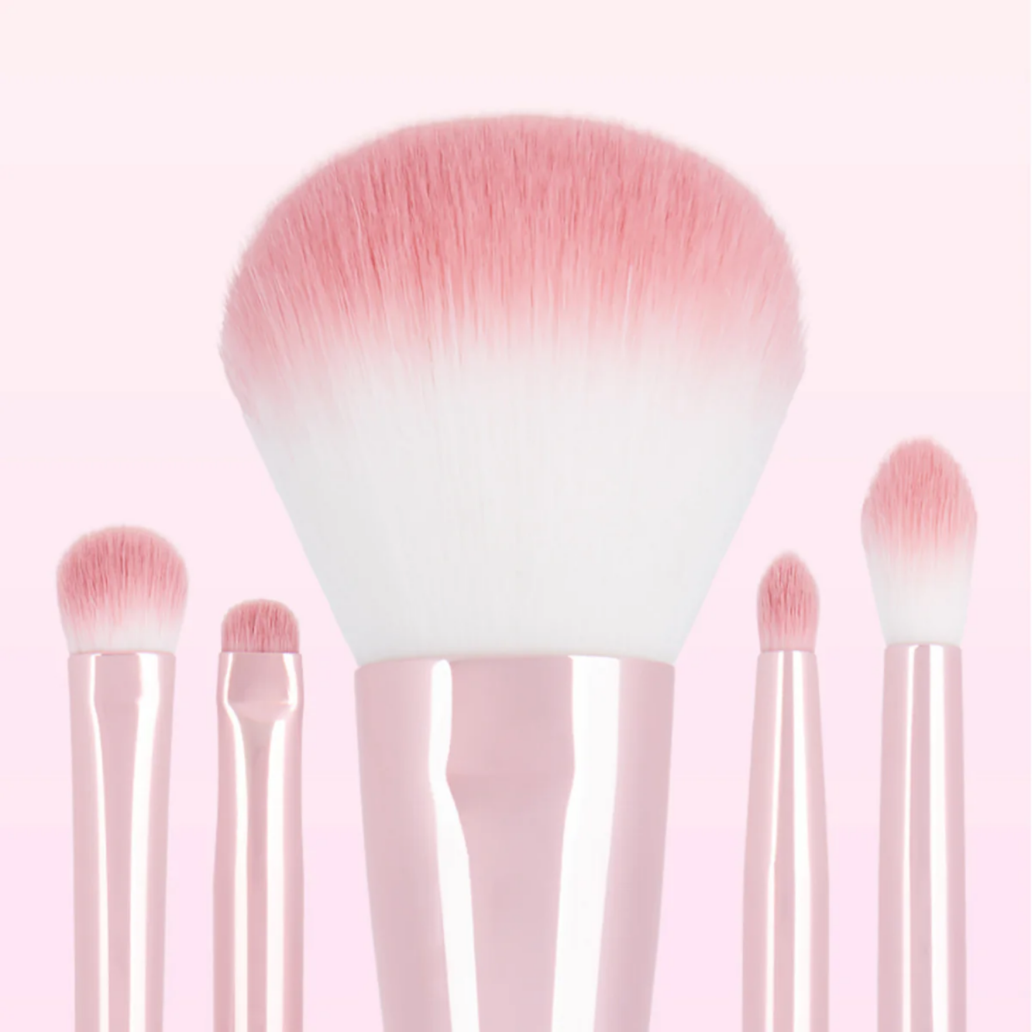 Pink Roll Make Up Brush Set [6pcs]