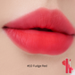 Blur Fudge Tint 5g (Available in 9 colours)