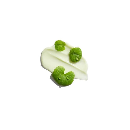 Dr. G Blemish Cica - S Cream 2X 70ml | La Cosmetique