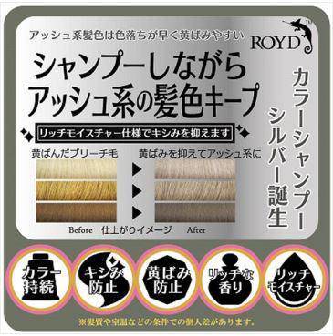 RoydTouch-up Hair Color Shampoo (5 Types) 300ml - La Cosmetique
